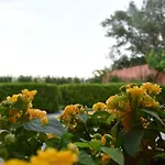 Anesis Village And *